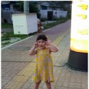 백두산야초