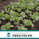 화촌농장 이미지