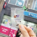 독도는우리땅 약국 네이버블로그