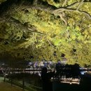 드림랜드오토캠핑장 이미지