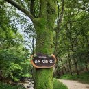 사유의숲 이미지