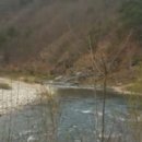 봉화공인중개사사무소 이미지