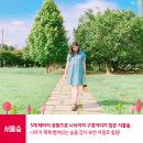 숲플라잉요가