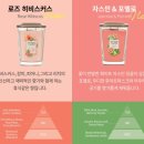 양키캔들진주점 이미지