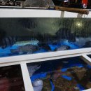 도셰프갯마을회 이미지