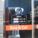 펫클럽울산