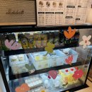 하이샐러드 | 🥗 상암 샐러드 맛집 <그린하이샐러드> 방문 후기💚 상암 다이어터들이 사랑하는 건강 맛집