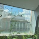 제이나니 이미지