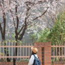 004-1 | 17인치 노트북 백팩 추천 르마스크 LMQ 코어004 직장인 데일리 가방 후기