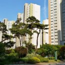 8단지주공부동산공인중개사사무소 이미지