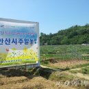 신길농장 이미지