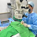 무안동물병원 | 무안동물병원, 20년 이상 안과 수의사의 안과동물병원을 고르는 노하우(오시기 전 필독)