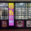 맘모스안경 이미지