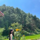 비행장카공업사 이미지