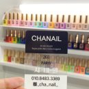샤네일 (CHANAIL)