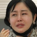홍주티브이