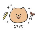 슈가멍 이미지