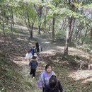 초록샘어린이집 이미지