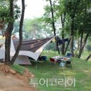 강화도산들애농원 캠핑장 이미지