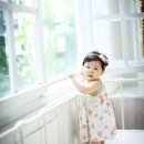 베르베르스튜디오