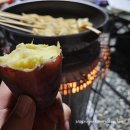 도사곡길 | [캠핑] &#34;홍천 도새울 캠핑장&#34; 나만 알고 싶지만 모두한테 알려주고 싶기도 한 최애 캠핑장. *긴 글 주의*