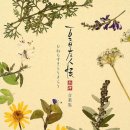 요광 | 나츠메 우인장 3, 4기(夏目友人帳 : 参, 肆) OST CD 후기