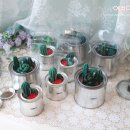 다육이공방 | 선인장캔들 8개 주문제작 후기, 다육이화분 소이캔들 경성대 부경대 부산공방 예쁘다