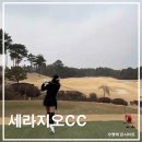 지오도그 - 청주시 상당구 단재로 2419 | 다시 찾고 싶은 매력적인 골프장 세라지오CC 후기 ☆지오코스☆