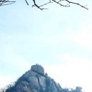 수행정사사무소 이미지