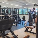 라인피티 이미지