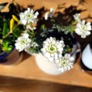 담양민박 이미지