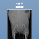 서수원동물병원 이미지