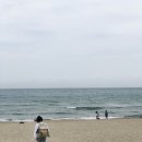 송정 이미지