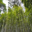 계절이 지나가는 하늘 이미지