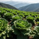 괴산G마트 이미지