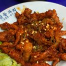 닭동가리 이미지