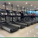 쏘마휘트니스 이미지