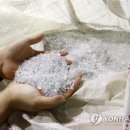 씨케이닭