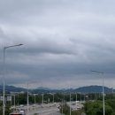 대명관 | 의정부 노포맛집 간짜장이 맛있는 대명관 내돈내산 추천 후기