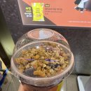 아비스몰 | 나 돌아갈래 kotaki