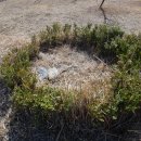 고인돌공원건너 이미지