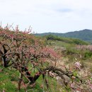 사곡2리 이미지