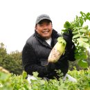 에이피텍 이미지