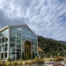 4월의밀밭 이미지