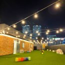 초량애견 이미지