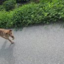 강천 이미지