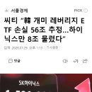 씨티 “韓 개미 레버리지 ETF 손실 56조 추정…하이닉스만 8조 물렸다” 이미지
