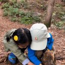 동일숲어린이집 이미지