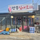 진포차 | 강릉 현지인 강추! 숨겨진 보석 같은 밥집 &#34;강릉 실내포차&#34; 리얼후기