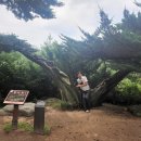 능이마을 이미지